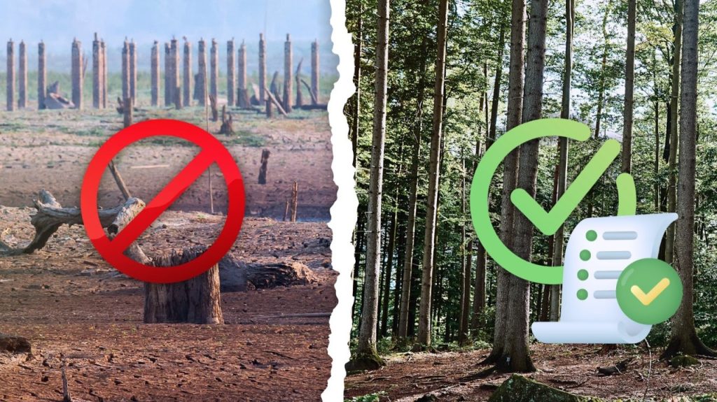 Deforestation-Free Advantage